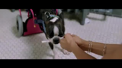 Jennifer Lopez - “the Back - up Plan” Official Trailer 