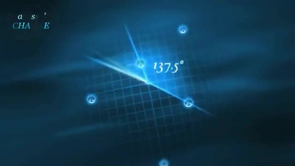 Emotional Music Maths Touch - Phi in Nature