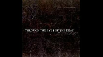 Through The Eyes Of The Dead - Between The Gardens That Bathe In Blood 
