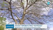 Пускат тировете през „Петрохан“ – но само в едната посока