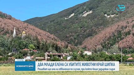 Ще обвинят ли задържания съдия за бракониерство край Шипка