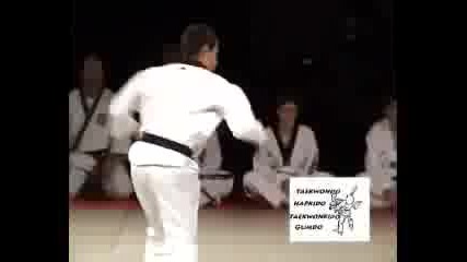 Medley Taekwondo Hapkido