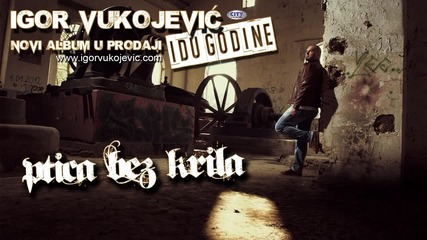 !! Igor Vukojevic 2015 - Ptica bez krila - (oficial audio ) - Prevod