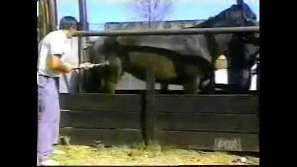 Смях До Скъсване 