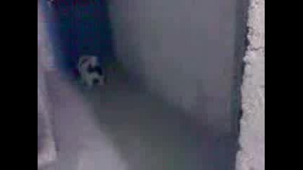 Видео001.3gp