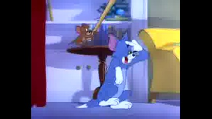 Tom & Jerry - Witty Kitty