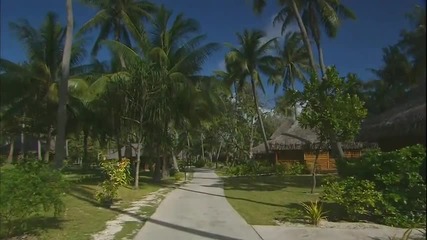 Красотите на света - Caribbean Blue !! ~