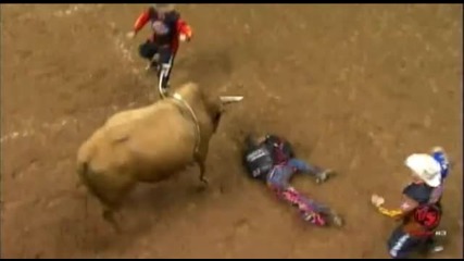 Paulo Lima knocked unconscious 