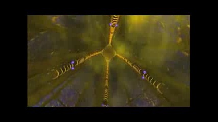 Starcraft In The End
