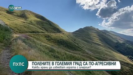 Д-р Валериева: Алергичните болести са целогодишен проблем