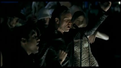 Sting - Desert Rose 