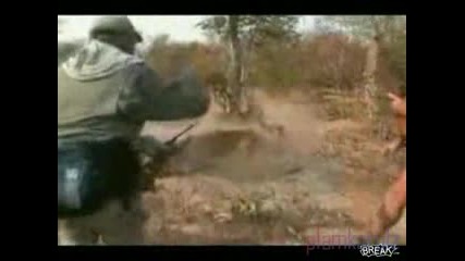 Ловци убиват лъв , секунда преди да се нахвърли на приятеля им