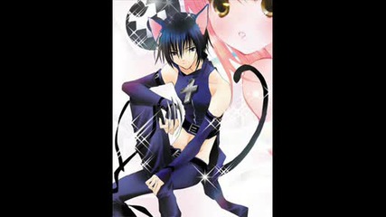Shugo Chara