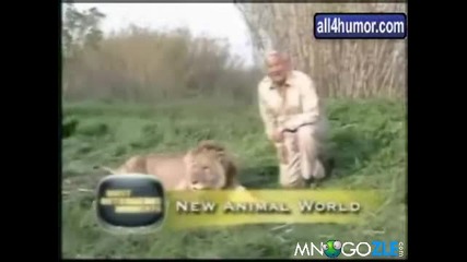 Компилация животни