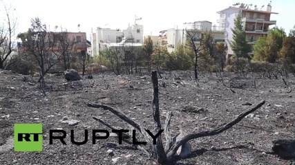 Greece: Mount Hymettus burns in sweeping forest fires