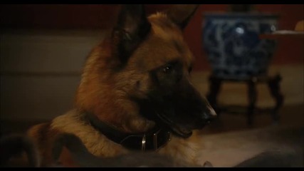Cats and Dogs: The Revenge of Kitty Galore 3d 