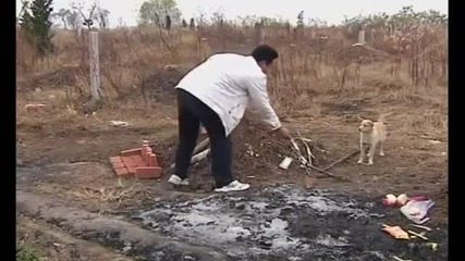 Така обичат кучетата