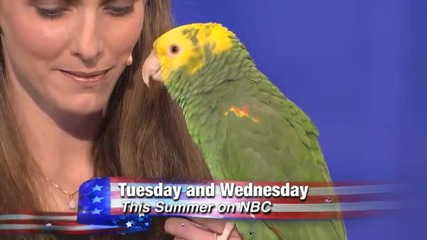 Папагал имитира животни говори на други езици и пее! America_s Got Talent