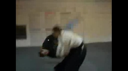 Real Aikido - Master techniques