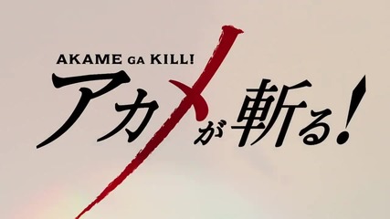 Akame Ga Kill! episode 22 (бг събс)