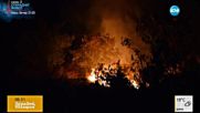 Пожар лумна на метри от къщи в ловешко село