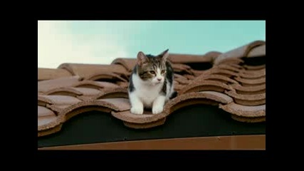 The Spy Next Door - Cat Clip 