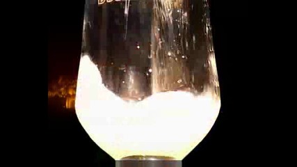 .btv Boliarka Vt 02