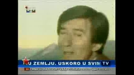 toma zdravkovic 