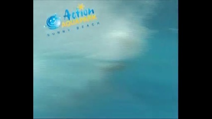 Action Aquapark - Слънчев Бряг