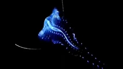 Нашата Планета Нашият Дом 