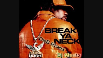 Busta Rhymes - Break Ya Neck (dnb Remix)