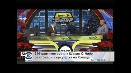 216-сантиметровият Шакил О'Нийл се стовари върху елха на Коледа