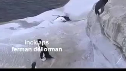 Delirttiniz lan beni Tr Dublaj Komik Sahne Bohoo Film Yonetmen 2016 Hd