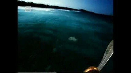 Бтв - 10 години в ефир 01.06.10г