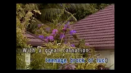 Madonna - American Pie - Karaoke.flv