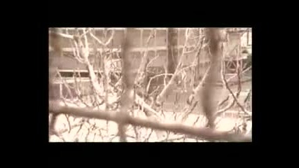 Stelios Kazantzidis - Den tha Ksanagapiso 