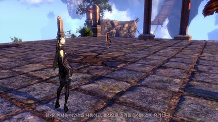 Blade & Soul Blade Master Short Skill Combo