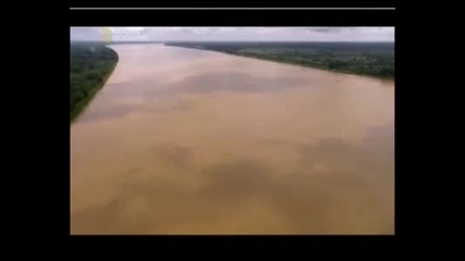 Най - Опасните Животни В Света