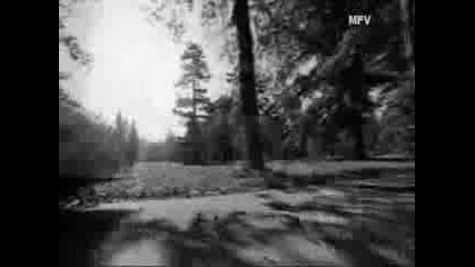 Preslava - Pravo na vlubvane