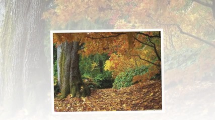 Фаусто Папети - Красива есен