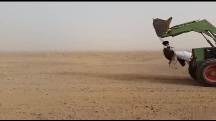 Люлка в пустинята