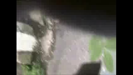 Балът На 12 Б Хосе Де Сан Мартин част 1