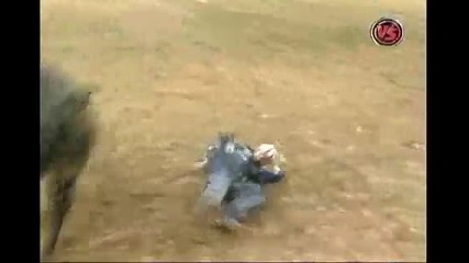 Travis Briscoe Vs Frank the Tank 