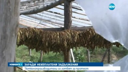 Тютюнопроизводители от Гоцеделчевско - на протест