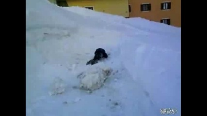 Голяма снежна топка бута дете !