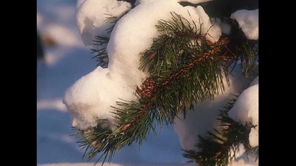 Antonio Vivaldi - Winter