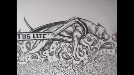 Freestyle Art American Pit Bull Terrier V