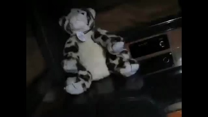 Justin Bieber - Better Find Your Teddy