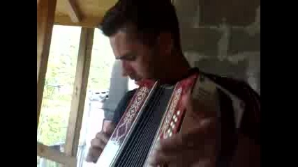 Талантливия Рицар