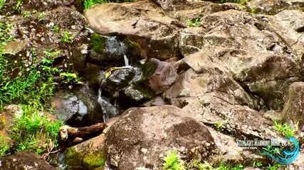 Hawaii - Hawaii Nature Scenes - Relaxing Music